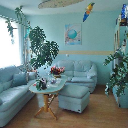 Puikus Apartamentai Olita Zewnętrze zdjęcie
